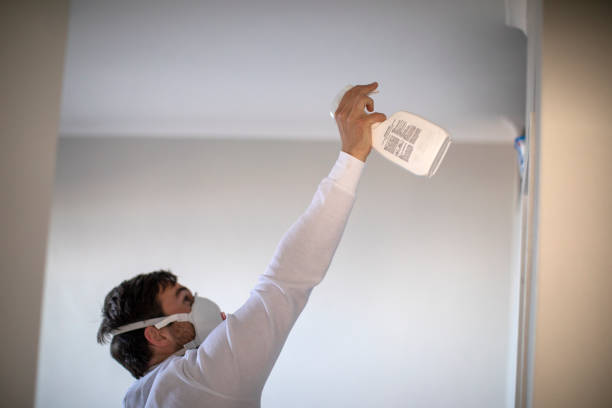 Best Water Damage Restoration  in Boulder Creek, CA