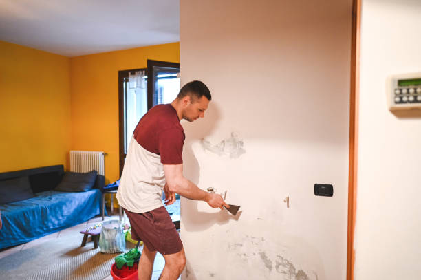 Best Local Mold Removal Service  in Boulder Creek, CA